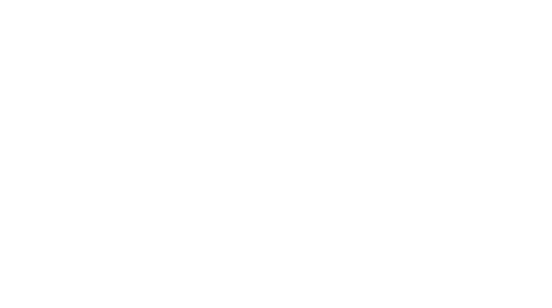 Ohana Desi Wedding